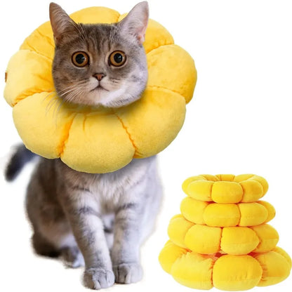 Sunflower Recovery Collar for Cats