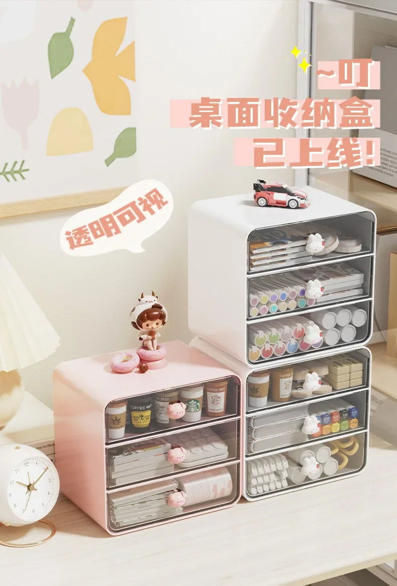 Desktop Drawer Storage Organizer