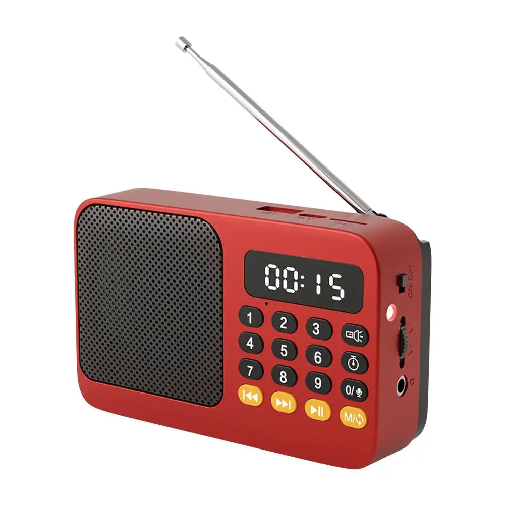 Portable FM Radio & Bluetooth Speaker with LED Light