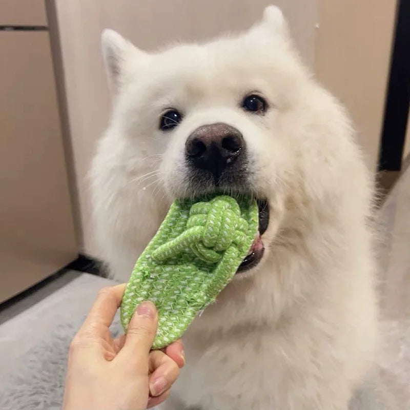 Cotton Rope Slipper Dog Chew Toy
