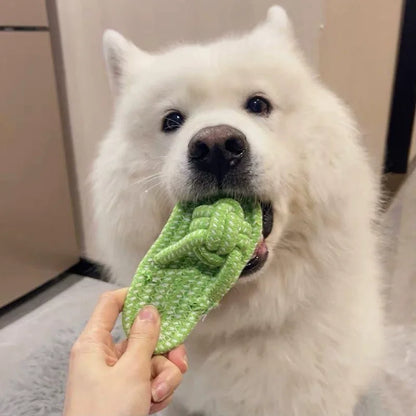 Cotton Rope Slipper Dog Chew Toy