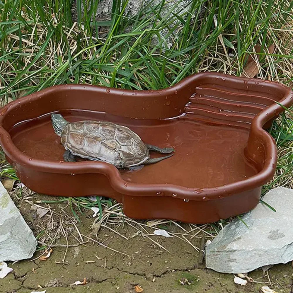 Reptile Bathing Pool with Ramp