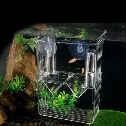 Acrylic Fish Breeding & Isolation Box for Aquariums