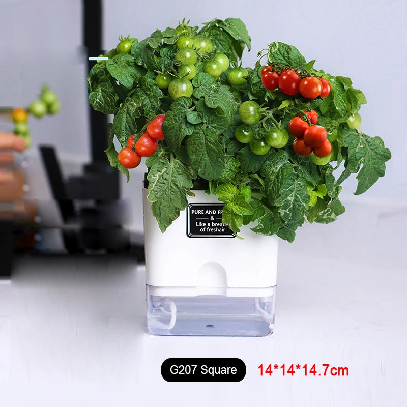 Self-Watering Plant Pot