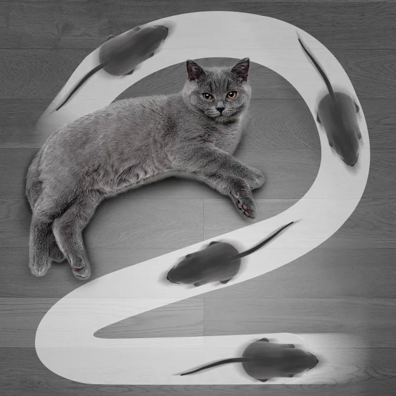 Remote Control Mouse Cat Toy
