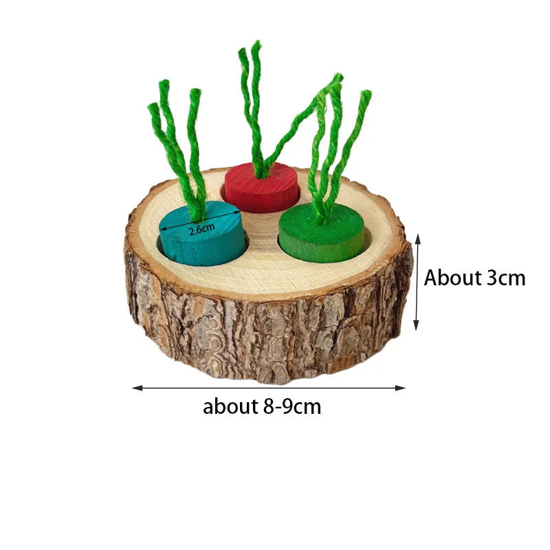 Wooden Hamster Foraging Toy & Chew Snack Box
