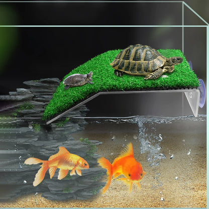 Turtle Basking Platform Ramp