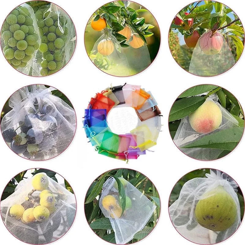 1-100Pcs Grapes Fruit Grow Bags