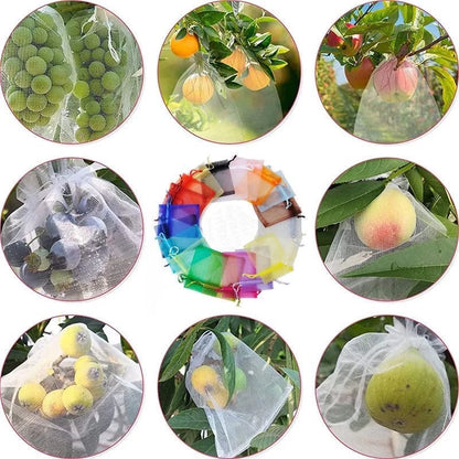 1-100Pcs Grapes Fruit Grow Bags