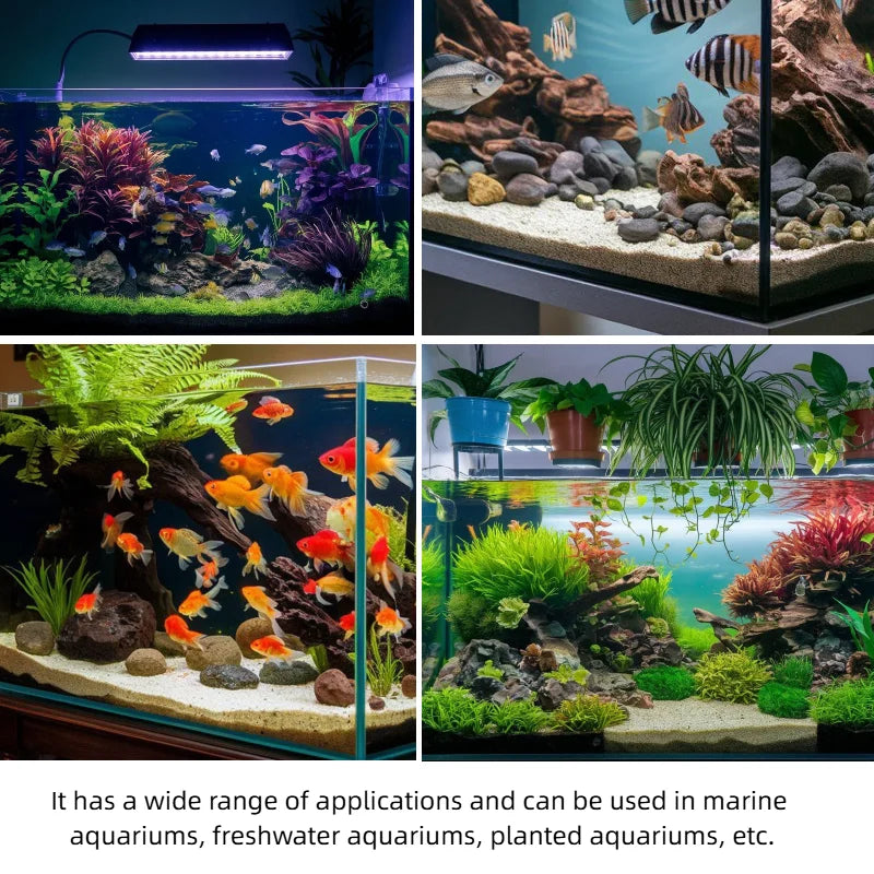 Digital Aquarium Thermometer