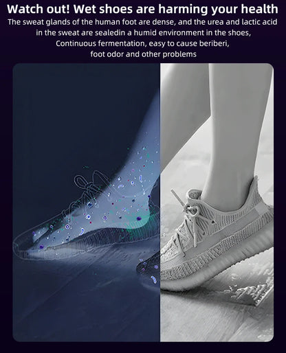 Intelligent Electric Shoe Dryer