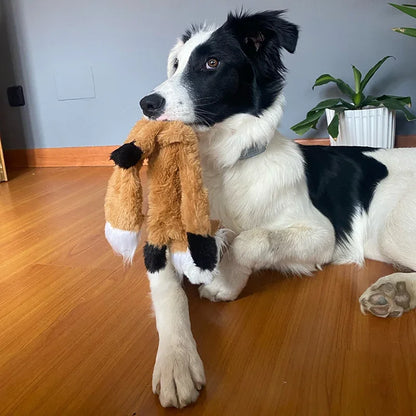 Plush Dog Chew Toy with Squeaker Animal Shape