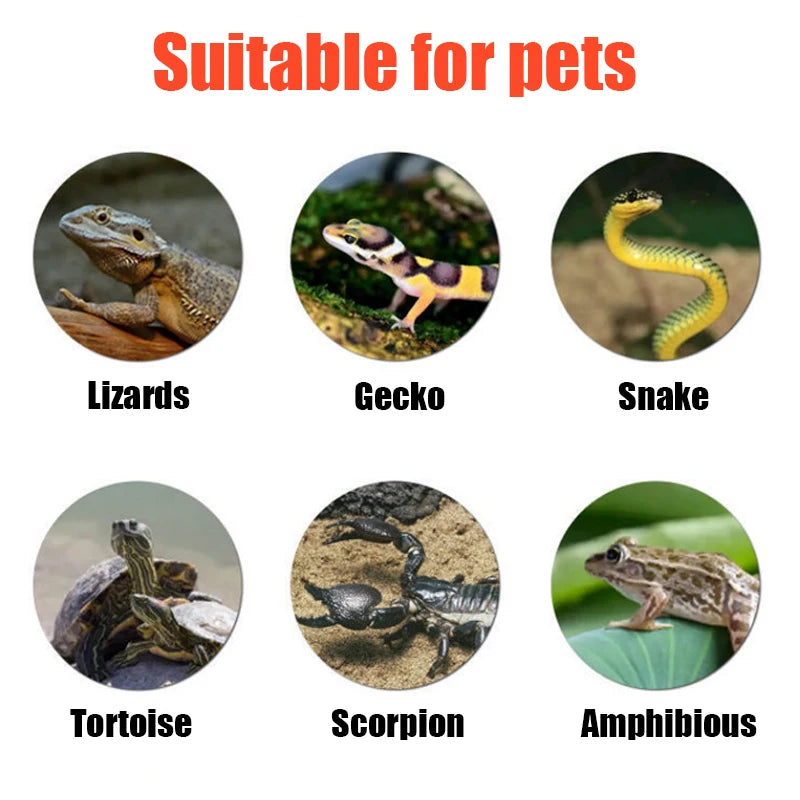 Reptile Heating Pad for Terrariums