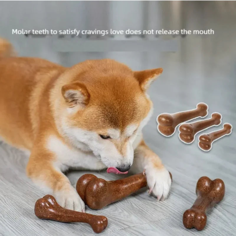 Natural Dog Bone Chew Toy