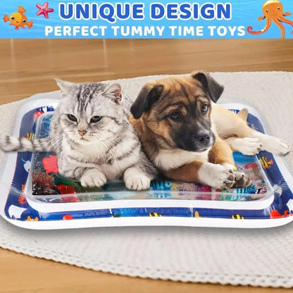 Pet Water Sensory Play Mat