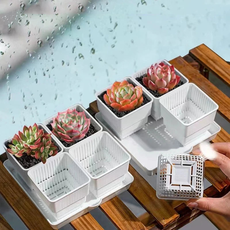 Breathable Mesh Nursery Pots for Succulents & Seedlings