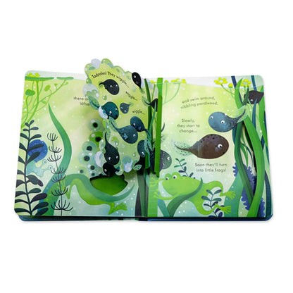 Usborne Peep Inside the Pond – Lift-the-Flap Book