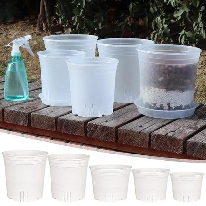 Transparent Nursery Plant Pot