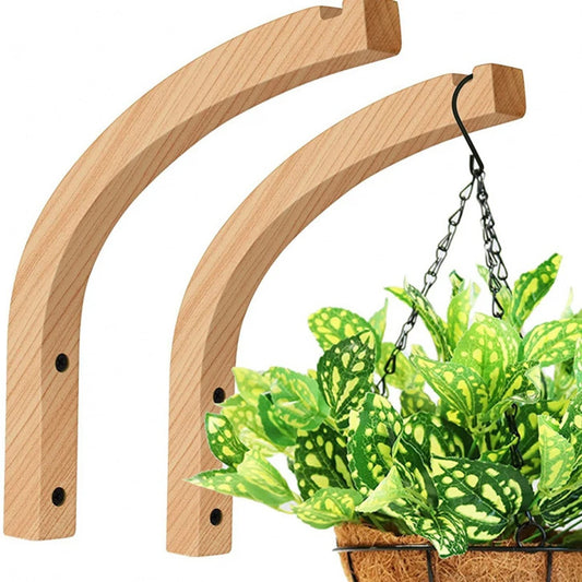 Natural Wooden Wall Plant Hanger