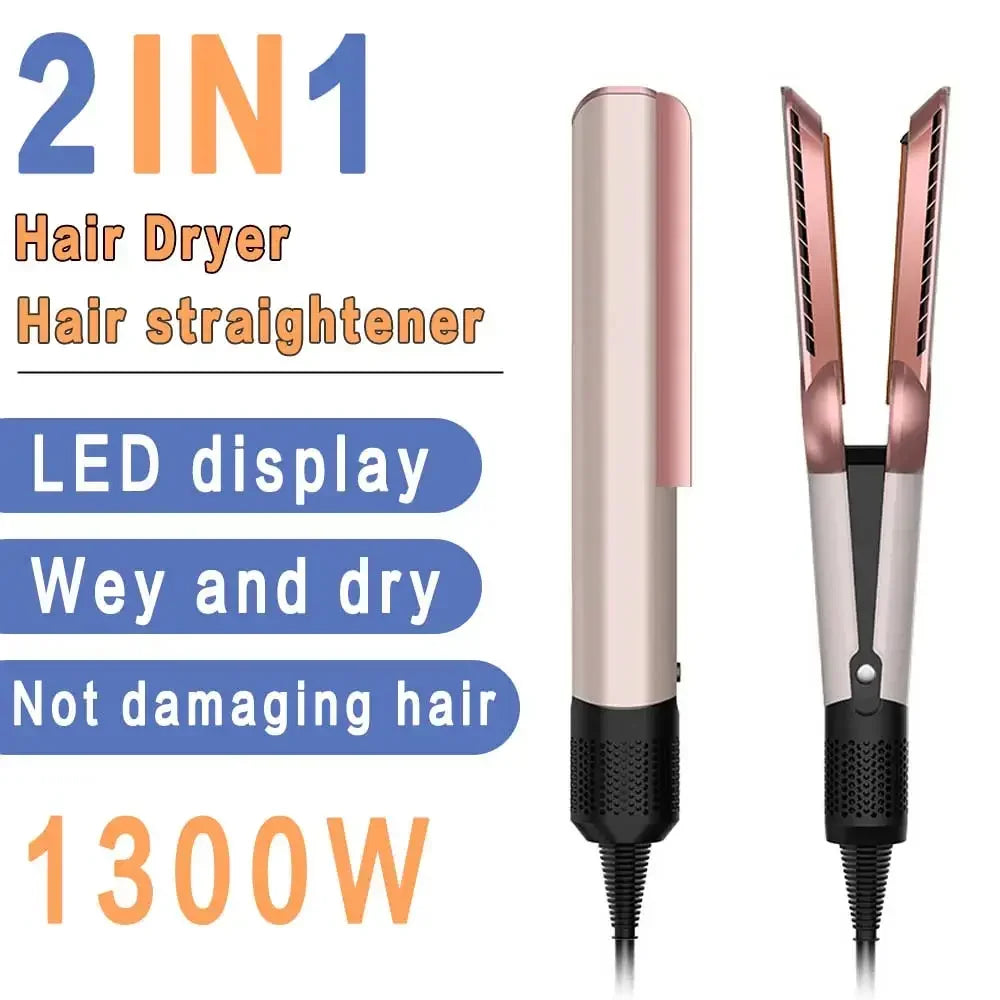 2 in 1 Professional Hair Dryer Straightener