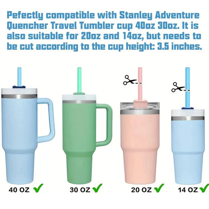 Silicone Replacement Straws with Brush