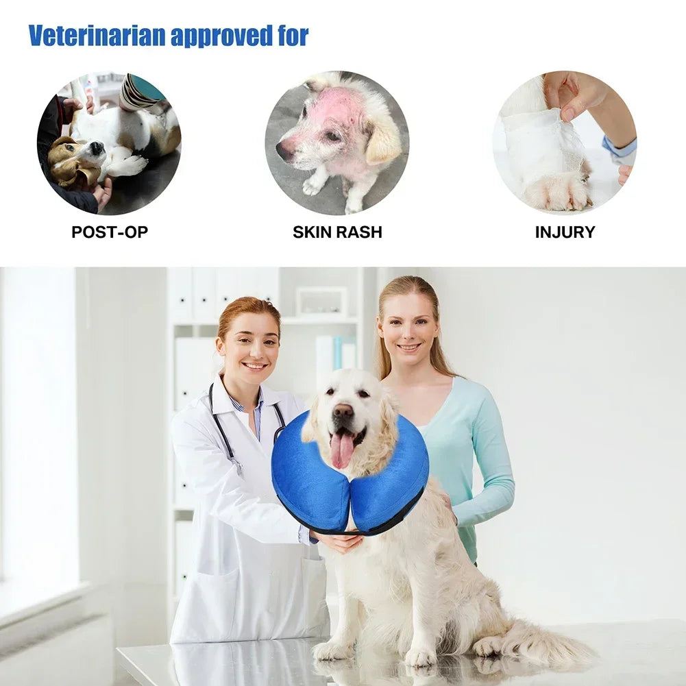 Inflatable Dog Recovery Collar After Surgery