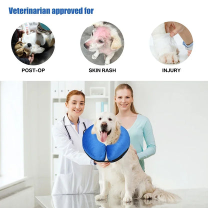 Inflatable Dog Recovery Collar After Surgery