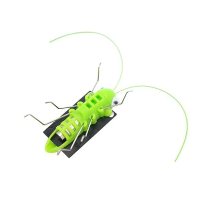 Solar Grasshopper Educational Toy