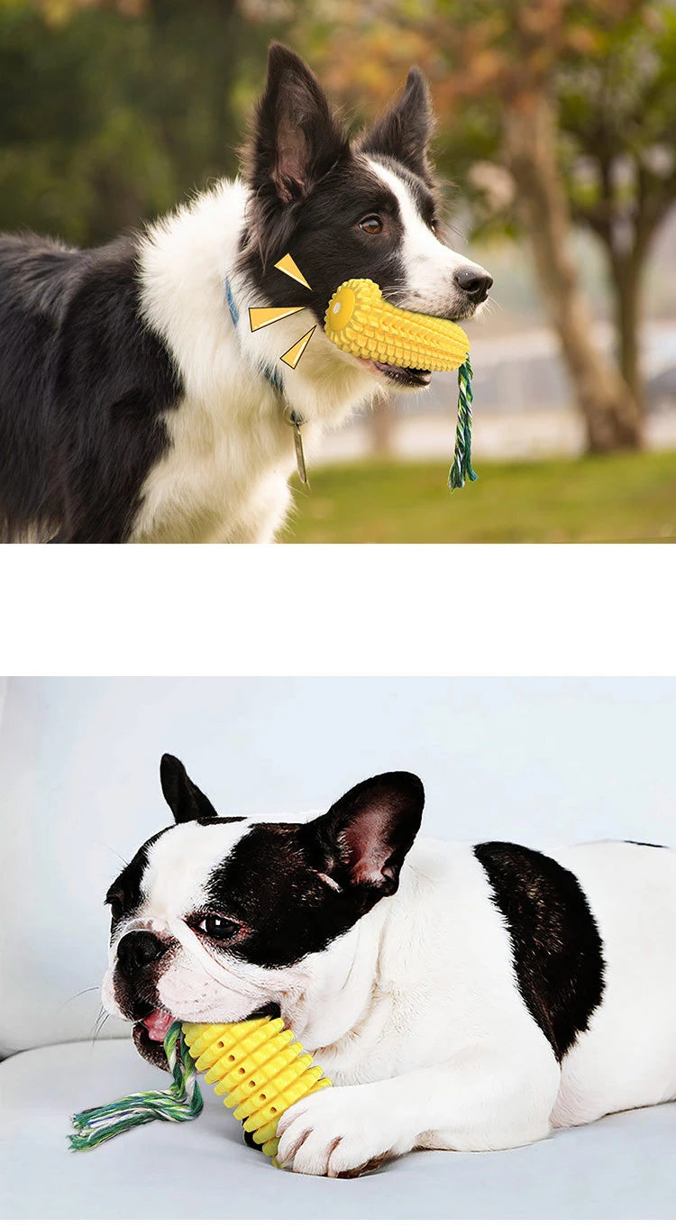 Corn Chew Squeaky Dog Toy