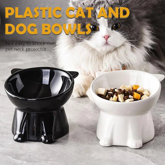 Elevated Cat Bowl with Non-Slip Base