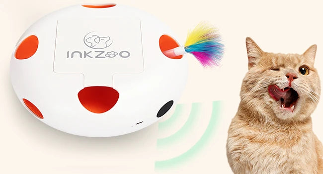 Interactive Whack-A-Mole Cat Toy