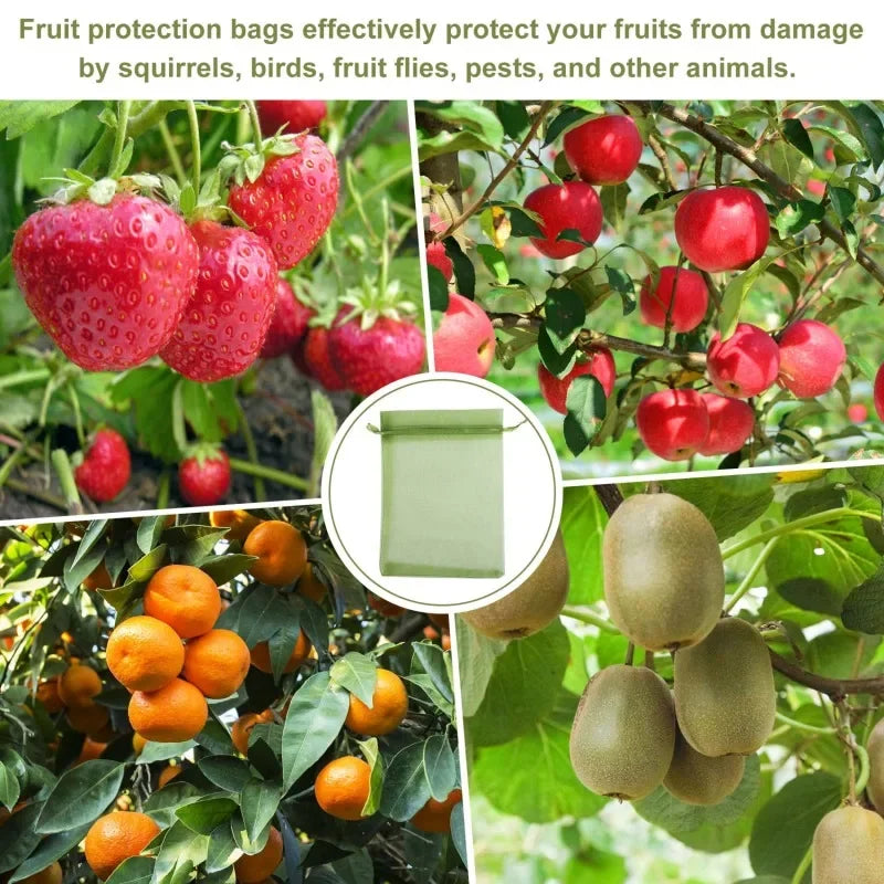 Fruit Protection Grow Bags