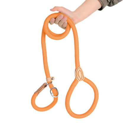 Heavy Duty Slip Lead Dog Training Leash