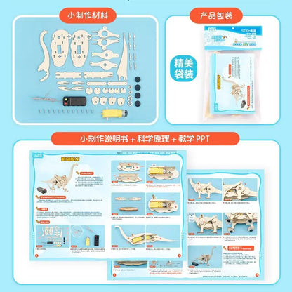 DIY Science Toys