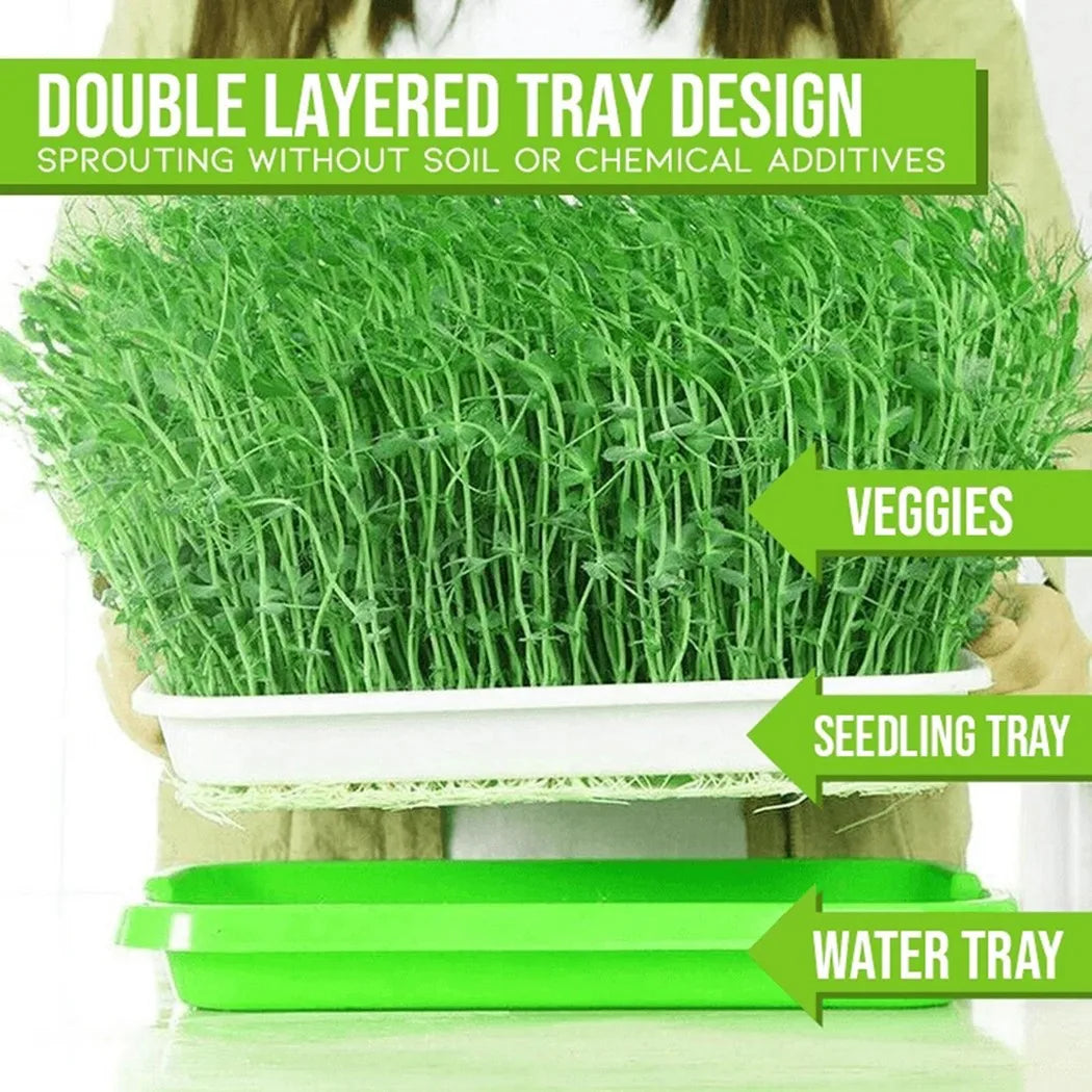 Microgreens Sprouting Tray