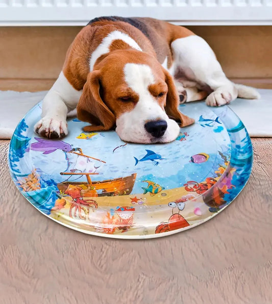 Summer Cooling Ice Pet Mat