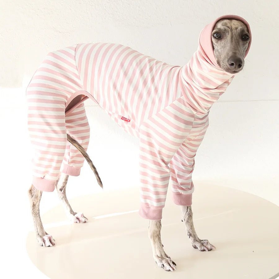 Striped Cotton Dog Pajamas for Italian Greyhounds & Whippets