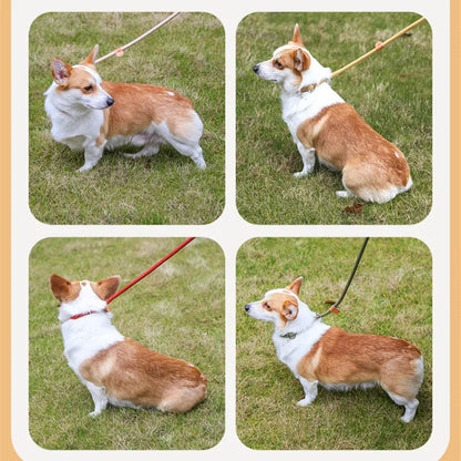 Heavy Duty Slip Lead Dog Training Leash