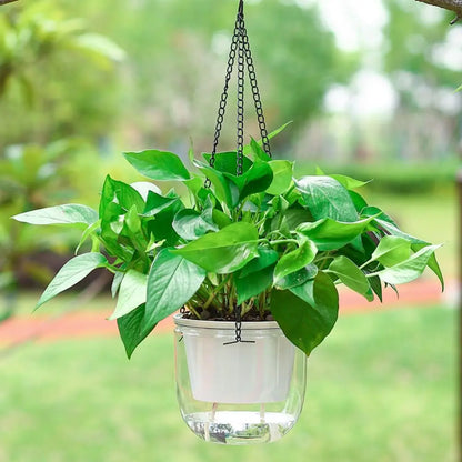 Self-Watering Hanging Planter Pot