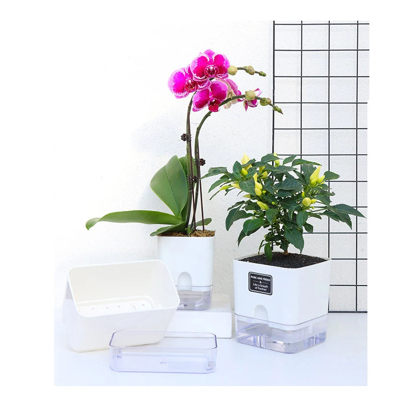 Self-Watering Plant Pot