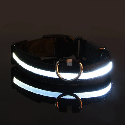 LED Flashing Dog Collar
