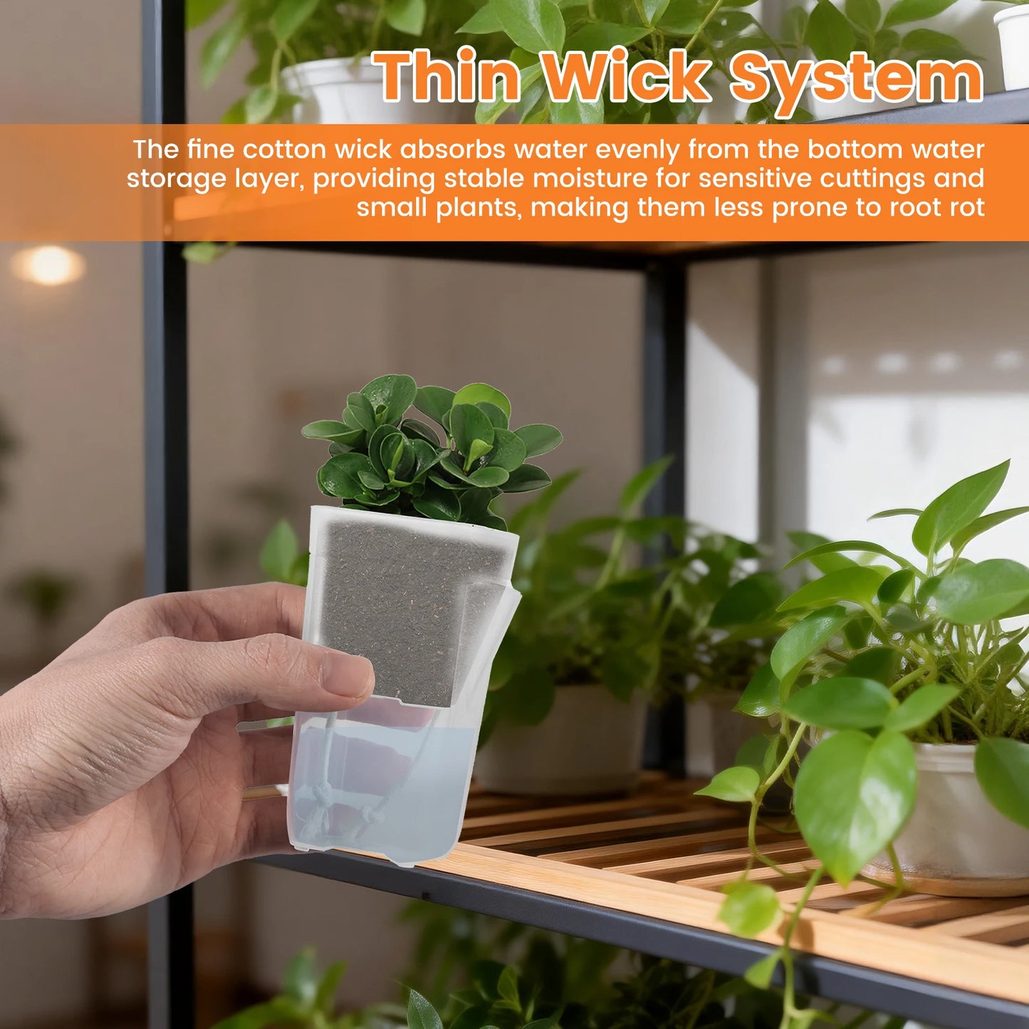 12-Pack Self Watering Planter Pots with Cotton Wicks