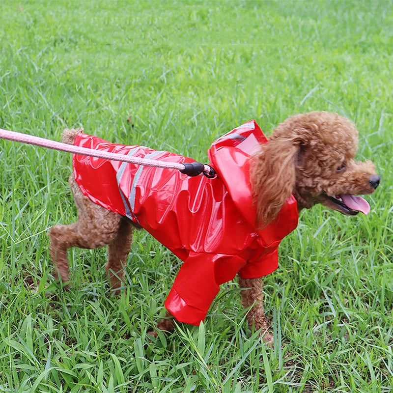 Waterproof Dog Raincoat with Hood