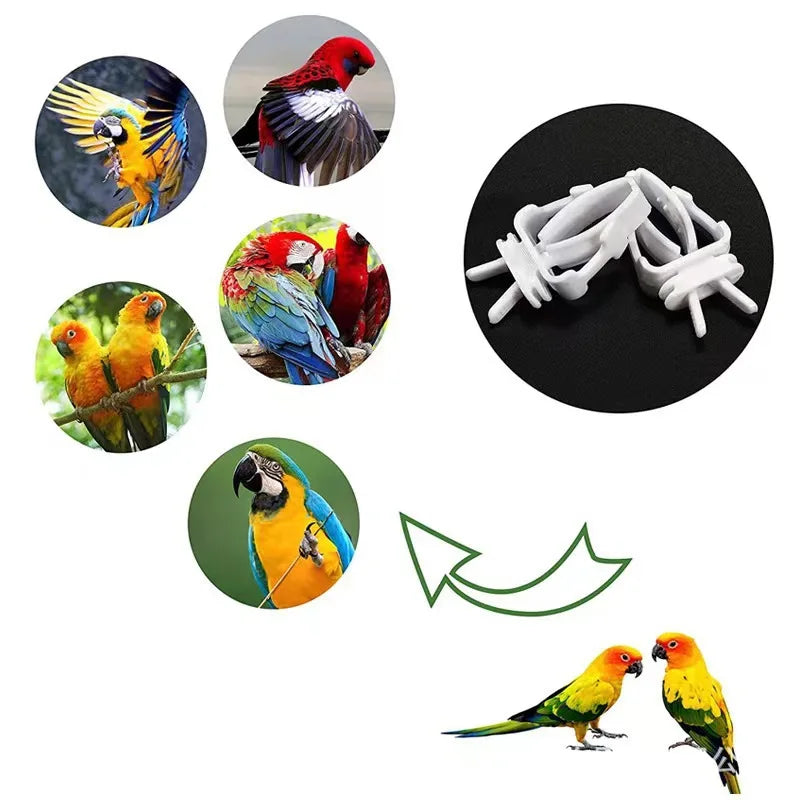 Bird Food & Cuttlebone Holder Clip