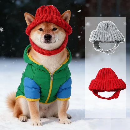 Winter Knitted Dog Hat for Small Dogs