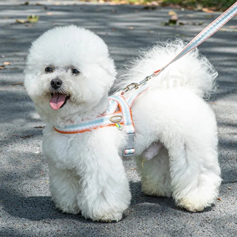 Colorful No-Pull Adjustable Dog Harness