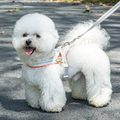 Colorful No-Pull Adjustable Dog Harness