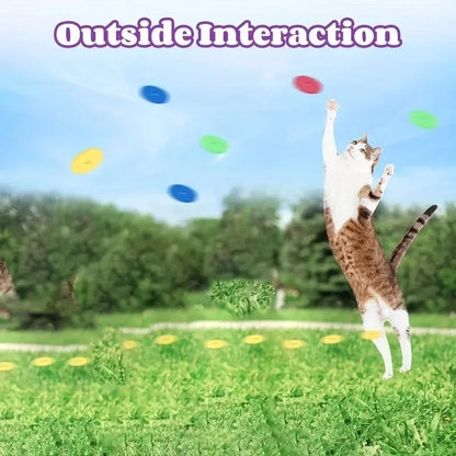 Interactive Foam Disc Launcher Toy