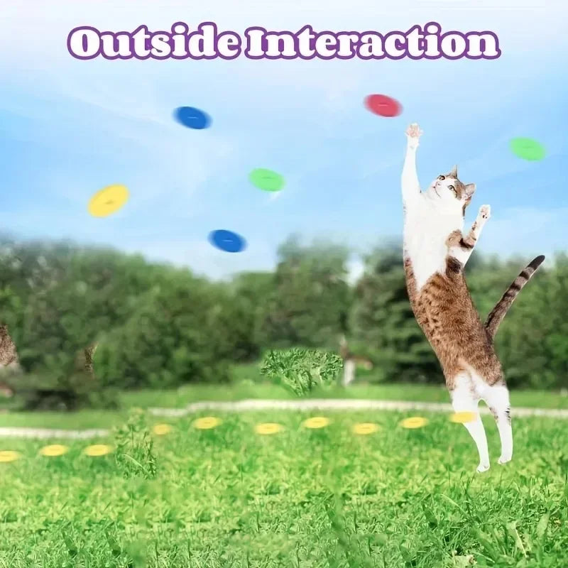 Interactive Foam Disc Launcher Toy