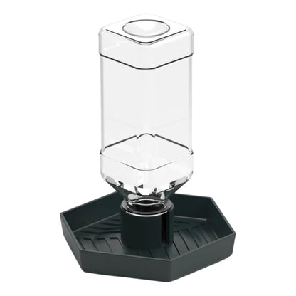 Reptiles Water Feeder Bowl